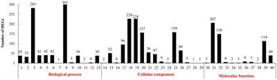 Integrated Transcriptome and Proteome Analyses Reveal Protein Metabolism in Lactobacillus helveticus CICC22171